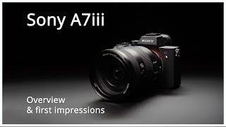 A7iii overview and first impressions [upl. by Pinsky]