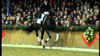 Stedinger 2000 by Sandro Hit  Landadel Stallion Show Sosath 2011 [upl. by Miarzim902]