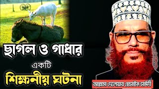 ছাগল ও গাধার একটি শিক্ষনীয় ঘটনাআল্লামা দেলোয়ার হোসাইন সাঈদীDelwar Hossain sayeedi waz [upl. by Rother]