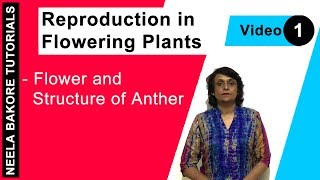 Reproduction in Flowering Plants  NEET  Flower and Structure of Anther  Neela Bakore Tutorials [upl. by Murton900]