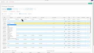 NBRC Paylocity 2 adjusting timesheet 2 [upl. by Earej589]