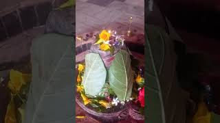 karuna kro kast Haro Gyan do bhagvanytshortshortvideo video viralvideo Har Har Mahadev [upl. by Boff566]