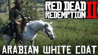 Red Dead Redemption 2  Arabian White Coat  Fastest Horses In RDR2 [upl. by Kort]