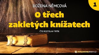 Božena Němcová O třech zakletých knížatech 14 [upl. by Roger]