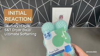 SampT Plastic Dryer Ball Review [upl. by Aremus795]