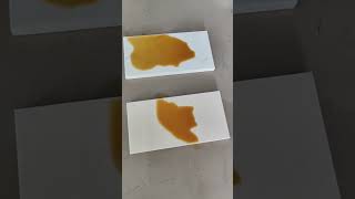 Kitchen Countertop Slabs Penetration and Stain Resistance Tests [upl. by Shane864]