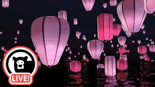 Hey Bear Sensory  Relaxing Lanterns Stream [upl. by Ecienahs]