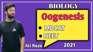 Oogenesis  NMDCAT 2021 [upl. by Dennis885]