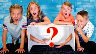 Girls VS Boys Whats in the Box Challenge New Items Twins [upl. by Wait]