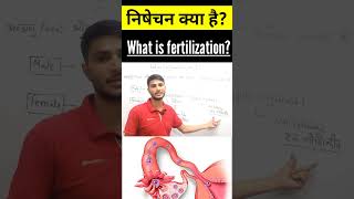 निषेचन क्या है What is fertilization  fertilization kya hai Nishechan kya hai shorts biology [upl. by Tdnarb341]