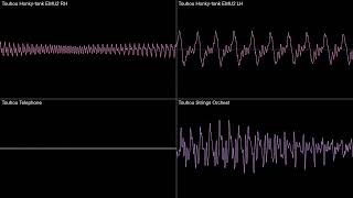 Deltarune Chapter 2 OST 41  Dialtone Oscilloscope View [upl. by Olivier690]