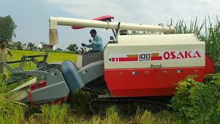 Osaka mini paddy harvester machine [upl. by Gnil388]