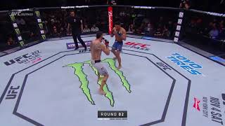 Kevin Lee Vs Tony Ferguson Full Fight [upl. by Eatton]