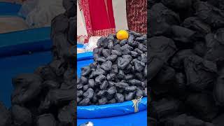 Ek bar dhyan se ine Bhaiya ke hatho ko dekhan subscribe food streetfoood youtube [upl. by Reinald545]