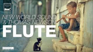 New World Sound amp Thomas Newson  Flute Starstruck Remix [upl. by Ocirled667]