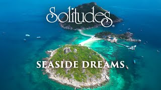 Dan Gibson’s Solitudes  Introspection  Seaside Dreams [upl. by Ellerahc814]