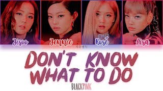 BLACKPINK  DONT KNOW WHAT TO DO color coded lyrics 가사  ENG HAN ROM [upl. by Nonac244]