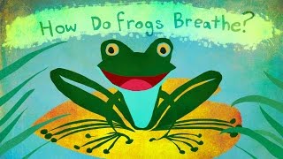 How Do Frogs Breathe [upl. by Nodearb]