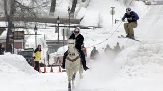 Crazy Winter Sport Skijoring  Season Pass [upl. by Assina75]