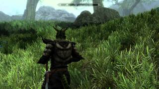 Skywind Golden Saint Creature test [upl. by Marfe720]