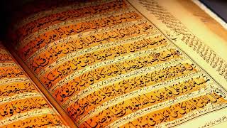 Full Quran 1 30 Para সু মধুর কন্ঠে সম্পূর্ণ ৩০পারা কোরআন তেলাওয়াত। al quran quran explorer [upl. by Yecak]