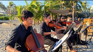 Ceremonia simbólica de boda acompañada con cuarteto de cuerdas [upl. by Lebaron724]