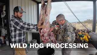 PROCESS a WILD HOG  DIY [upl. by Aranahs]