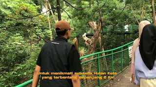 Vlog  Taman Hutan Kota Bandung Babakan Siliwangi  Kelompok 1 Tugas Bahasa Indonesia [upl. by Llerrom]