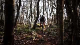 Twentyniner testing with Cannondale riders [upl. by Quenby]