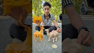 Rc Camel And Remote Control Deer Unboxing🔥🦌 [upl. by Dustin]