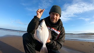 Beach Fishing for Beginners Catching Flounder and Dabs  Shore Fishing UK  Dunbar [upl. by Almeta]