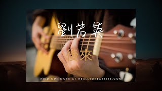 後來 劉若英 吉他🎸練習曲 劉若英 [upl. by Ymerej]