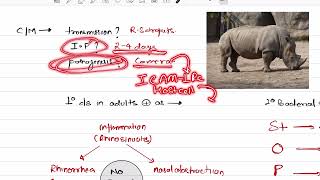 RHINOVIRUS  VIROLOGY  MICROBIOLOGY [upl. by Schaumberger]