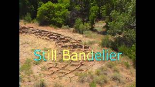 STILL BANDELIER [upl. by Azerila955]