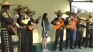 LOS MARIACHIS FERNANDEZ LE CANTAN A ROMINA EN SU CUMPLE [upl. by Balfour]