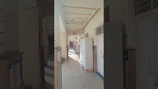 government sarvodaya bal vidyalaya timarpur newdelhi india school explore shorts vlog yt [upl. by Qirat]