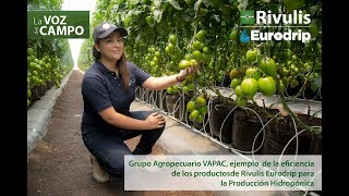 Testimonio Vapac  Sistema hidropónico para Tomate Saladette [upl. by Vandyke641]