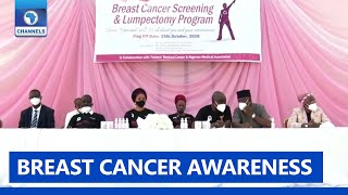 Breast Cancer Olufunso Amosun Flags Off Screening Lumpectomy Prog In Abeokuta [upl. by Annoeik]