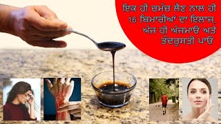 Blackstrap Molasses Benefits in Punjabi SEERA [upl. by Evita698]