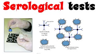 Serological tests [upl. by Yrbua643]