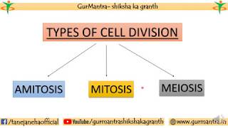 TYPES OF CELL DIVISION  AMITOSIS  MITOSIS  MEIOSIS [upl. by Riamu21]