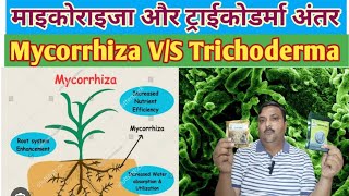 Mycorrhiza और Trichoderma में अंतर mycorrhiza trichoderma vam [upl. by Judd]