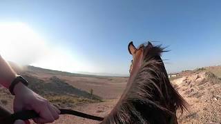 360  Horse Riding Adventure 47  Galloping In The Countryside  360° VR 4K  GoPro Fusion [upl. by Sabino]