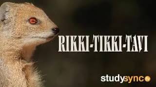 Rikki Tikki Tav Audio [upl. by Rizika]