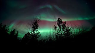 Aurora Borealis in the Yukon Oct 8 2024 [upl. by Aneladgam]