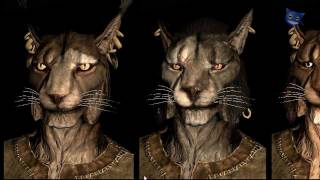 Skyrim Races  Khajiit Cat People [upl. by Jurkoic]