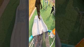 Bela ciao playground parkour chasing pov with water [upl. by Dell]