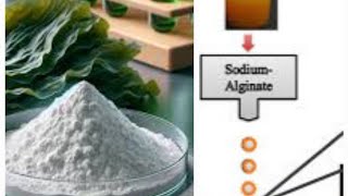 How to prepare sodium aliginate beads cross linked with biochar in the laboratory [upl. by Lotus]