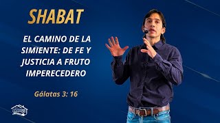 El camino de la simiente de fe y justicia a fruto imperecedero  Shabat 22 de Nov del 2024  YeBul [upl. by Fanchie948]