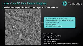 Reproductive Tissues  Label free 3D Live Tissue Imaging [upl. by Oicapot]